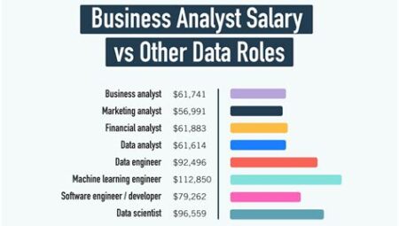 Business Analyst Salaries – A Look into Earnings in the Field