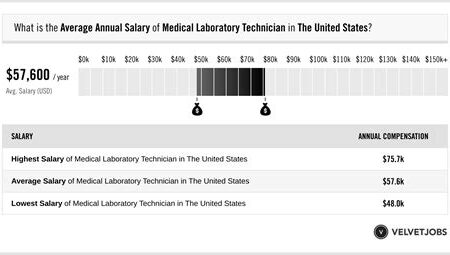 Medical Laboratory Technician Salaries – A Breakdown of Earnings in the Field