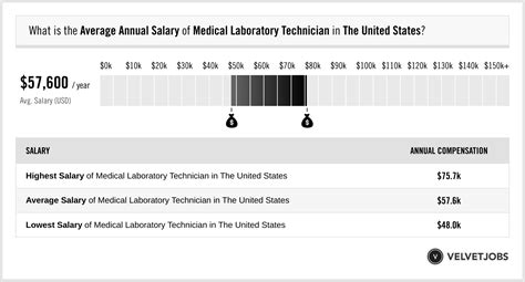 Medical Laboratory Technician Salaries - A Breakdown of Earnings in the Field