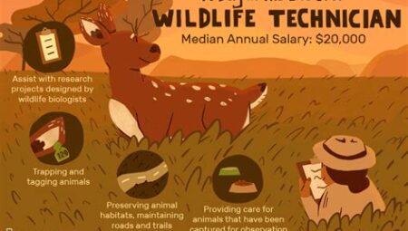 Wildlife Biologist Salaries: Exploring Nature and Earning a Good Living
