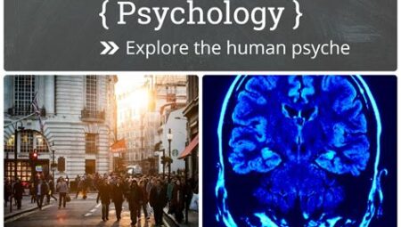 The Architect of the Mind: Exploring the Field of Psychology Research