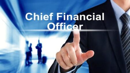 The World of Financial Management: Becoming a Chief Financial Officer
