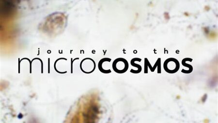Exploring the Microcosmos: A Journey into Microbiology Research