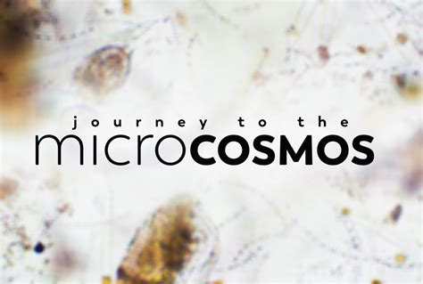 Exploring the Microcosmos: A Journey into Microbiology Research