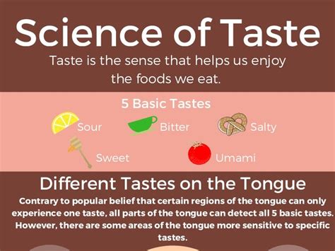 The Science of Taste: Exploring the Field of Food Technology