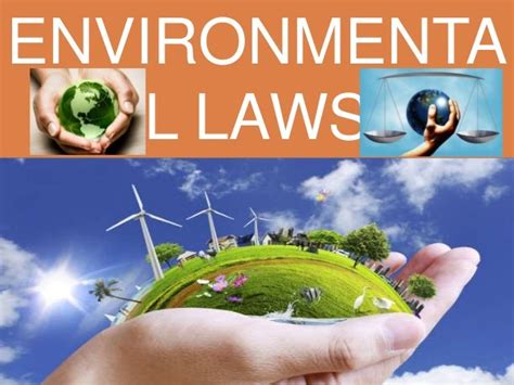 Guardians of Nature: Exploring the Field of Environmental Law