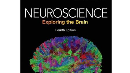 Understanding the Human Brain: Exploring the Field of Neuroscience Research