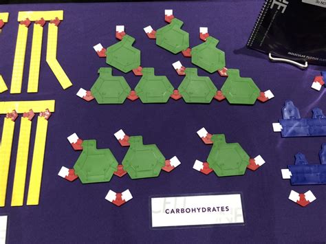 Solving Molecular Puzzles: A Look into Biochemistry Research