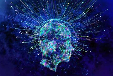 The Role of Neuroscience in Understanding Human Consciousness