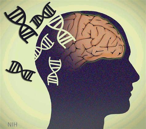 Investigating the Role of Genetics in Understanding Mental Health Disorders