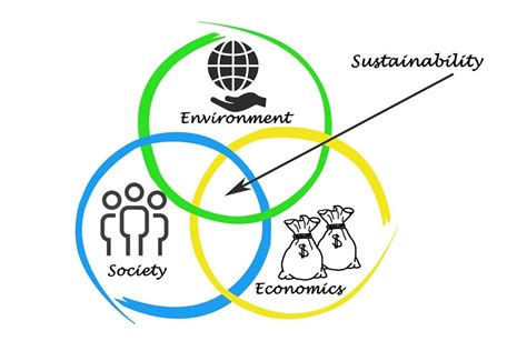 Building Sustainable Businesses: Sustainable Business and Corporate Social Responsibility Programs at US Universities