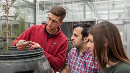 Engineering a Sustainable Future: Environmental Engineering Programs in US Universities
