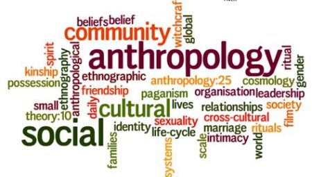 Decoding Society: Sociology and Anthropology Programs in Top US Universities