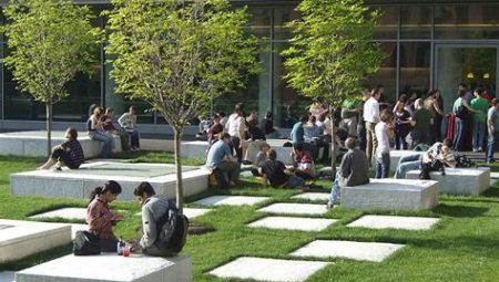 Transforming Public Spaces: Landscape Architecture Programs in Top US Universities