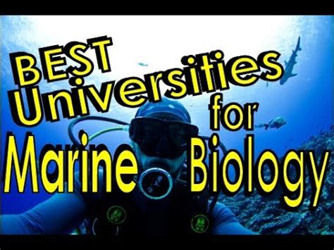 Dive into the Deep Blue: Marine Biology Programs at Top US Universities