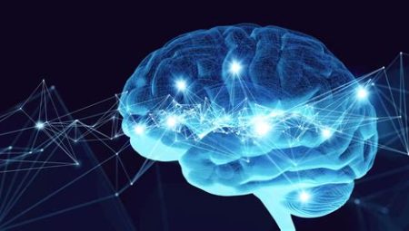 Mysteries of the Mind: Cognitive Neuroscience Programs in Top US Universities