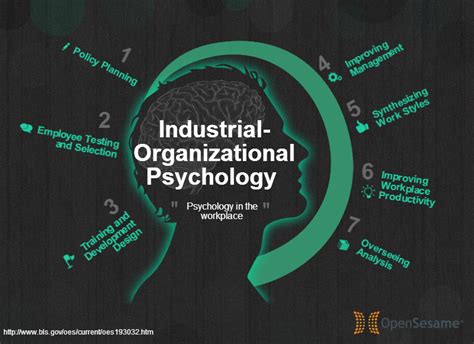 Shaping the Future: Industrial and Organizational Psychology Programs at US Universities