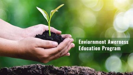 Solving Environmental Challenges: Environmental Policy and Management Programs at US Universities