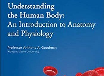 Understanding the Human Body: Anatomy and Physiology Programs at US Universities