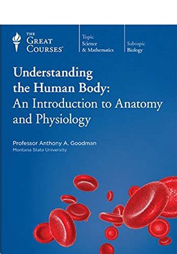 Understanding the Human Body: Anatomy and Physiology Programs at US Universities