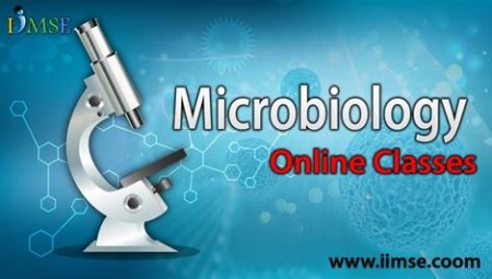 Exploring the Microcosmos: Microbiology Programs at US Universities