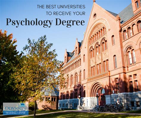 Decoding the Mind: Cognitive Psychology Programs in Top US Universities